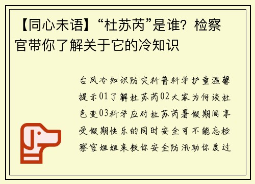 【同心未语】“杜苏芮”是谁？检察官带你了解关于它的冷知识