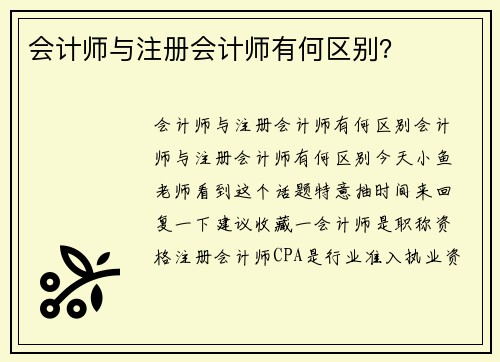 会计师与注册会计师有何区别？