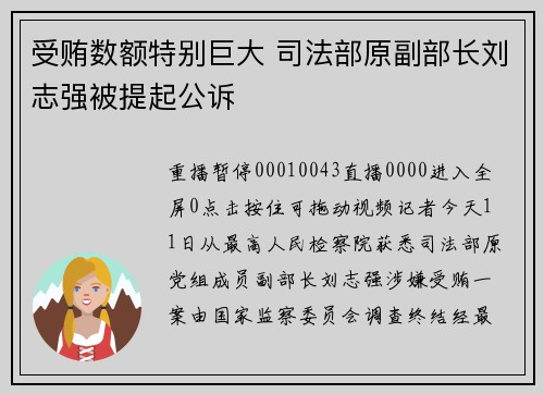 受贿数额特别巨大 司法部原副部长刘志强被提起公诉