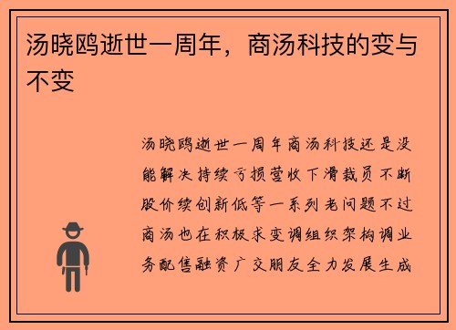 汤晓鸥逝世一周年，商汤科技的变与不变