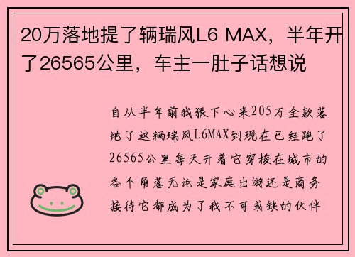 20万落地提了辆瑞风L6 MAX，半年开了26565公里，车主一肚子话想说
