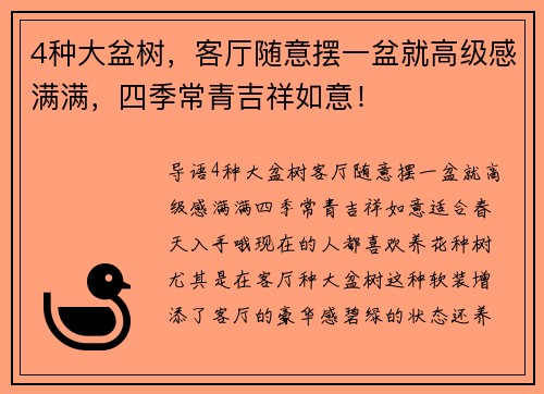 4种大盆树，客厅随意摆一盆就高级感满满，四季常青吉祥如意！